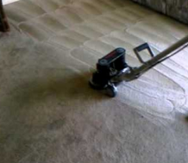 Affordable Carpet Cleaner