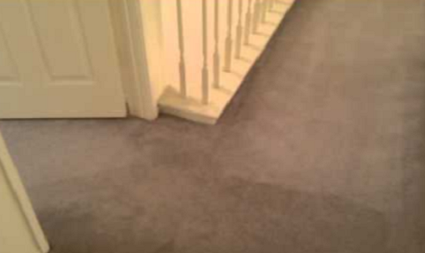Cheap Carpet Cleaner
